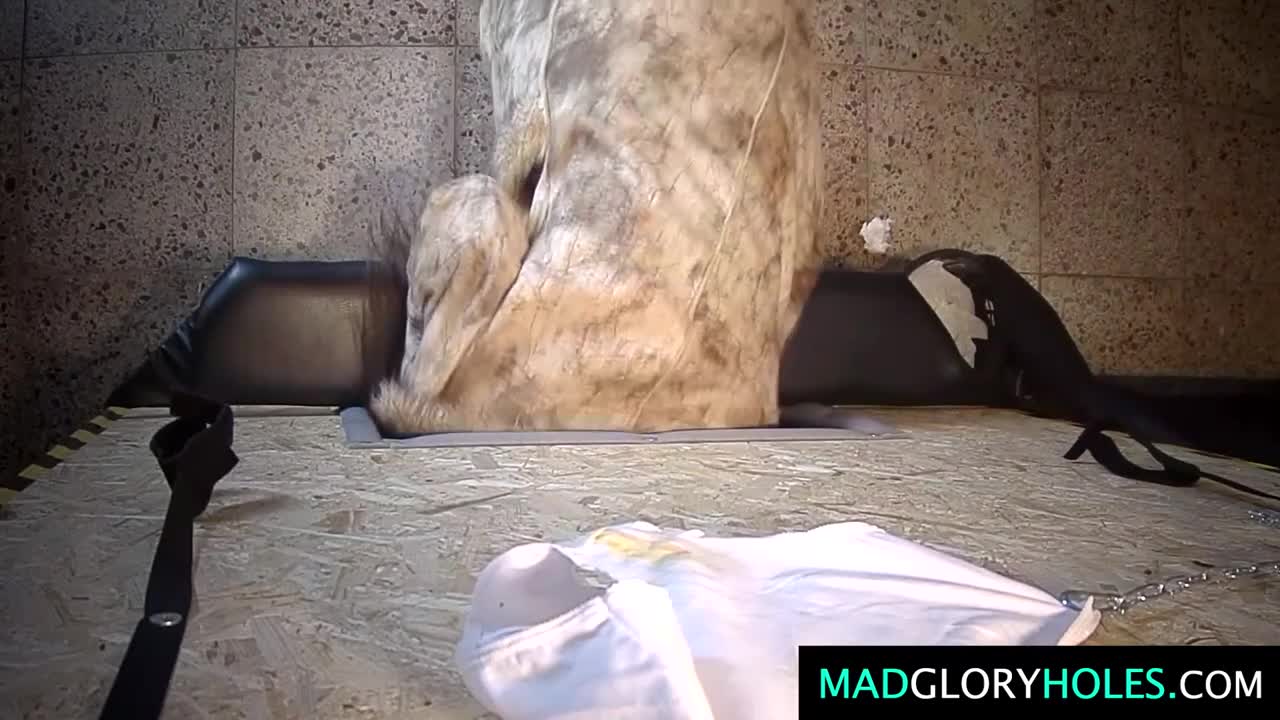 Mad Glory Holes featuring siren's hardcore scene